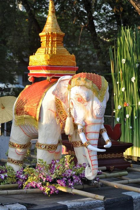 發霉對身體的影響 泰國大象象徵